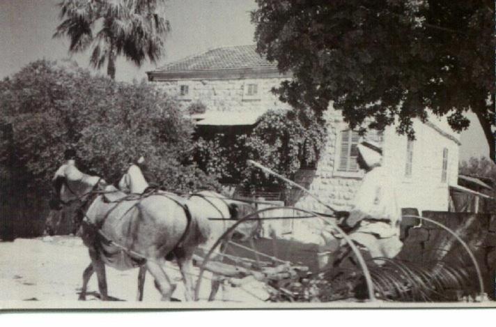 Mul Hayar Guest House Bethlehem of Galilee Exterior foto